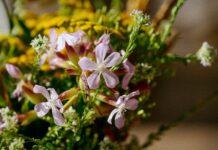 Industrialny Śląsk w kwiatowym wydaniu – Dlaczego Gliwice pokochały florystyczne niespodzianki? kwiaty