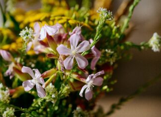 Industrialny Śląsk w kwiatowym wydaniu – Dlaczego Gliwice pokochały florystyczne niespodzianki? kwiaty