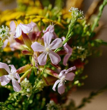 Industrialny Śląsk w kwiatowym wydaniu – Dlaczego Gliwice pokochały florystyczne niespodzianki? kwiaty