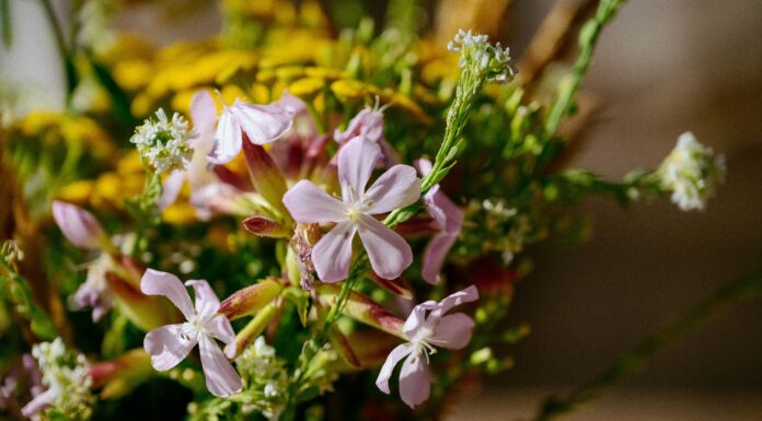 Industrialny Śląsk w kwiatowym wydaniu – Dlaczego Gliwice pokochały florystyczne niespodzianki? kwiaty